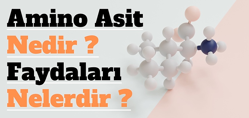 Amino Asit Nedir? Gerekli midir?