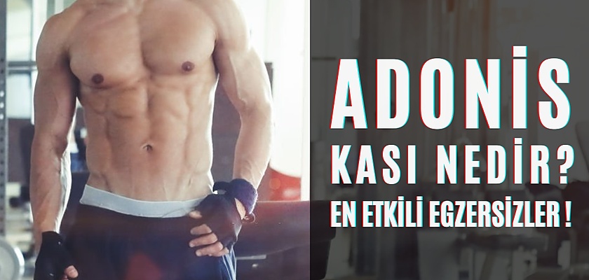 Adonis Kası Egzersizleri: Doğru Tekniklerle Güçlü Bir Adonis Kası